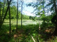 /home//u458753944/public_html/sourcegallery////other/races/Scrabble Rogaine 2023/P6030876.JPG